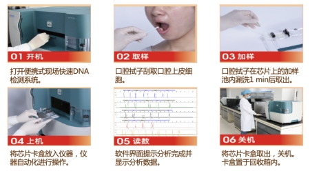 基於(yu) 全集成微流控芯片的自動化法醫DNA檢測流程