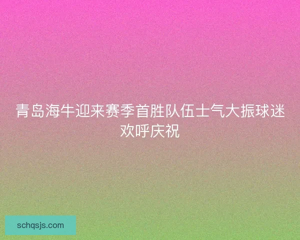 青岛海牛迎来赛季首胜队伍士气大振球迷欢呼庆祝
