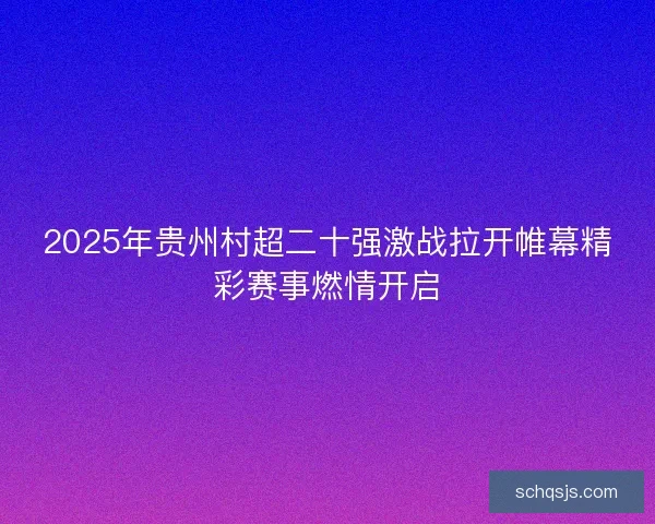 2025年贵州村超二十强激战拉开帷幕精彩赛事燃情开启