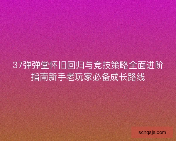 37弹弹堂怀旧回归与竞技策略全面进阶指南新手老玩家必备成长路线